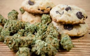 Weed Biscuits