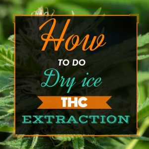 Dry Ice THC Extraction